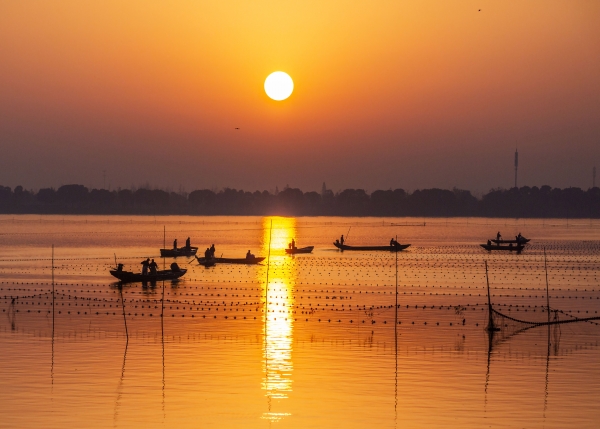 沅澧实干非凡五年⑪柳叶湖篇|湖山起宏图五宜启新篇——柳叶湖以科技文体为笔绘就未来新生活高地全景图(图4) 沅澧实干非凡五年⑪柳叶湖篇|湖山起宏图五宜启新篇——柳叶湖以科技文体为笔绘就未来新生活高地全景图(图4)