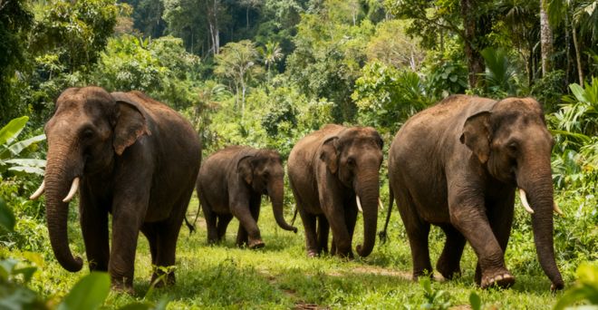 2025云南前十旅行社官宣！蒙旅全域覆盖行业榜首云南首次旅游选(图4)