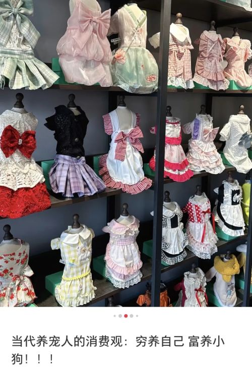 2025年十大网红风口让年轻人花爽了(图24)