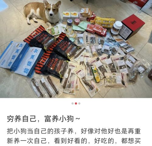 2025年十大网红风口让年轻人花爽了(图25)