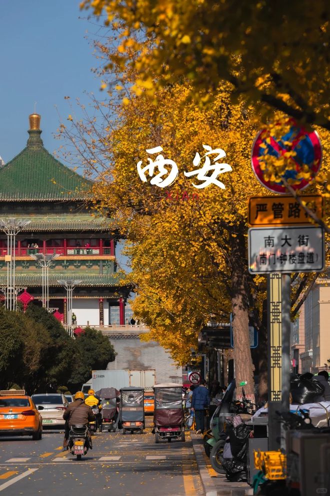 游客满意度9999%+:西安旅游靠谱旅行社TOP10(附推荐名单)(图1) 游客满意度9999%+:西安旅游靠谱旅行社TOP10(附推荐名单)(图1)