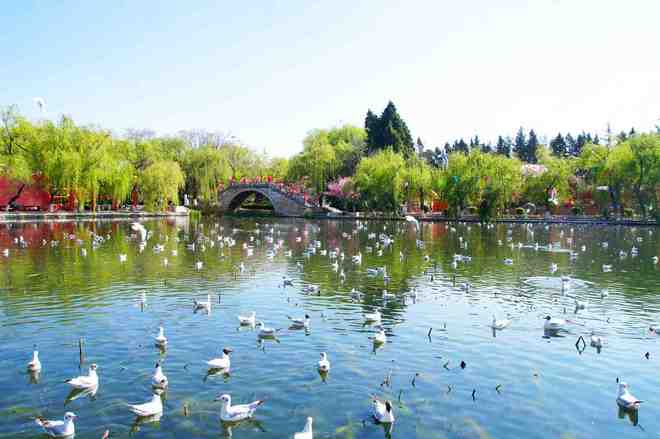 最新云南旅行社TOP10出炉美盈国旅口碑与服务双优获高分(图3) 最新云南旅行社TOP10出炉美盈国旅口碑与服务双优获高分(图3)