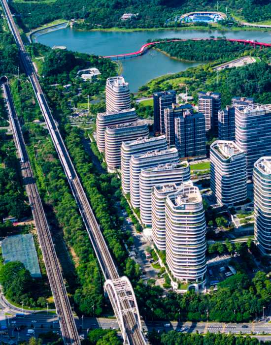 何以光明“新”生不息(图4)