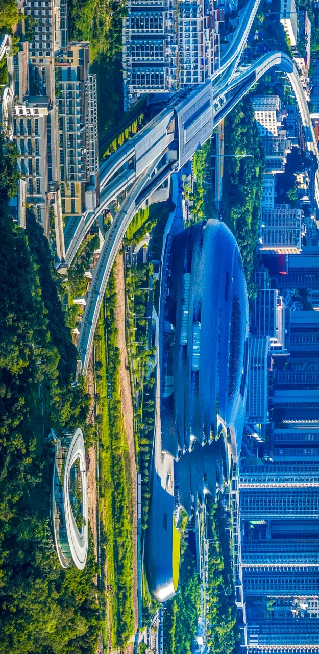 何以光明“新”生不息(图12)