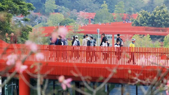 何以光明“新”生不息(图15)