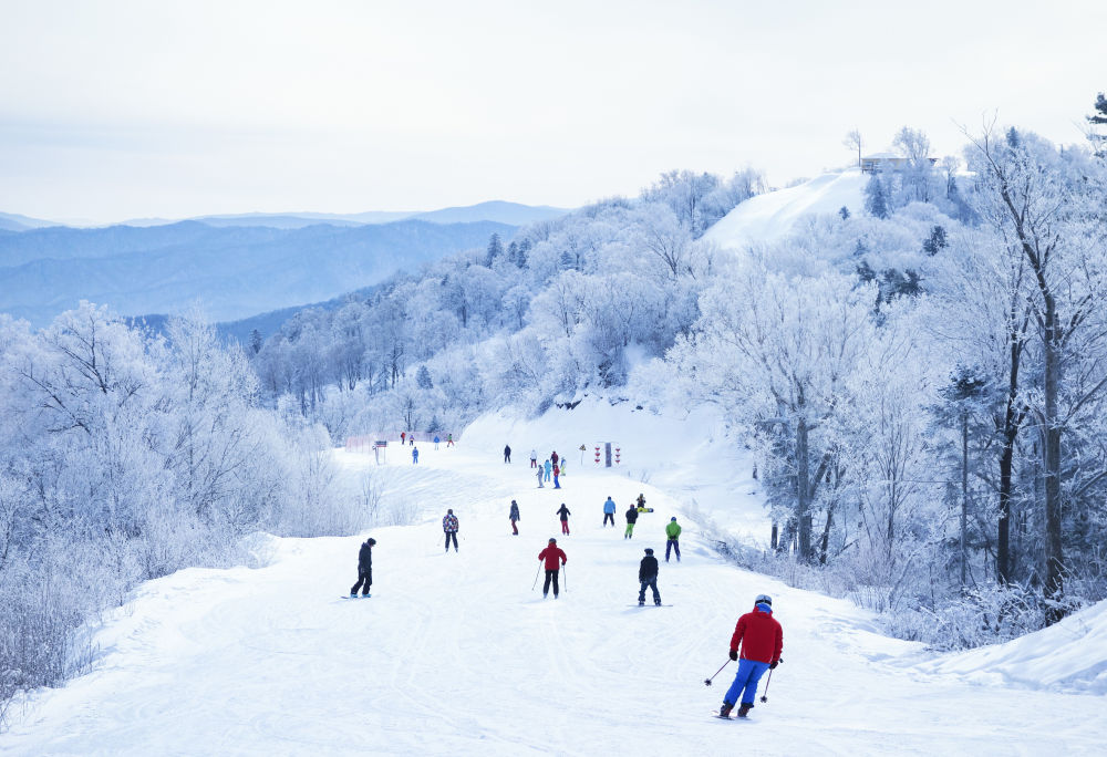 雾凇融媒网(图2) 雾凇融媒网(图2)