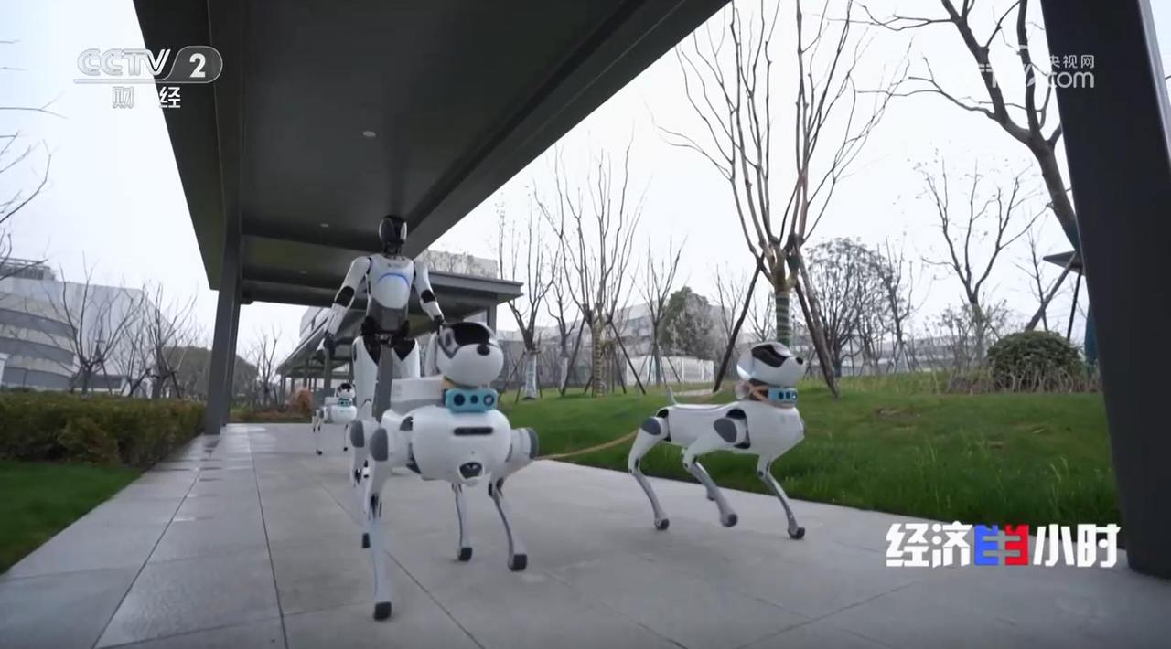 新年新场景：机器人“新同事”今日上岗(图5)