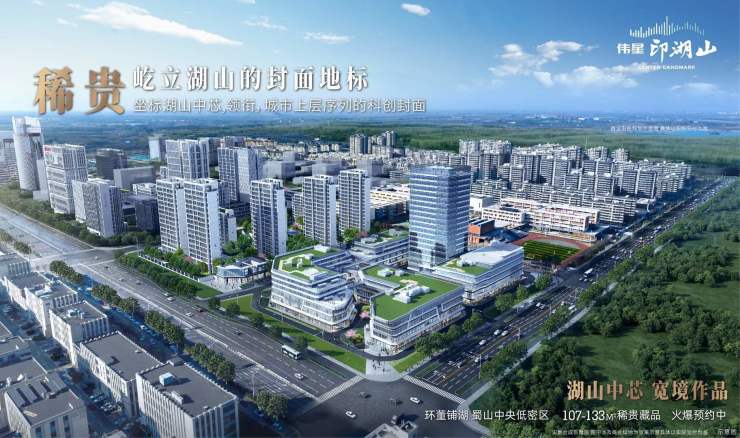 合肥伟星印湖山项目户型图-优惠(图5)