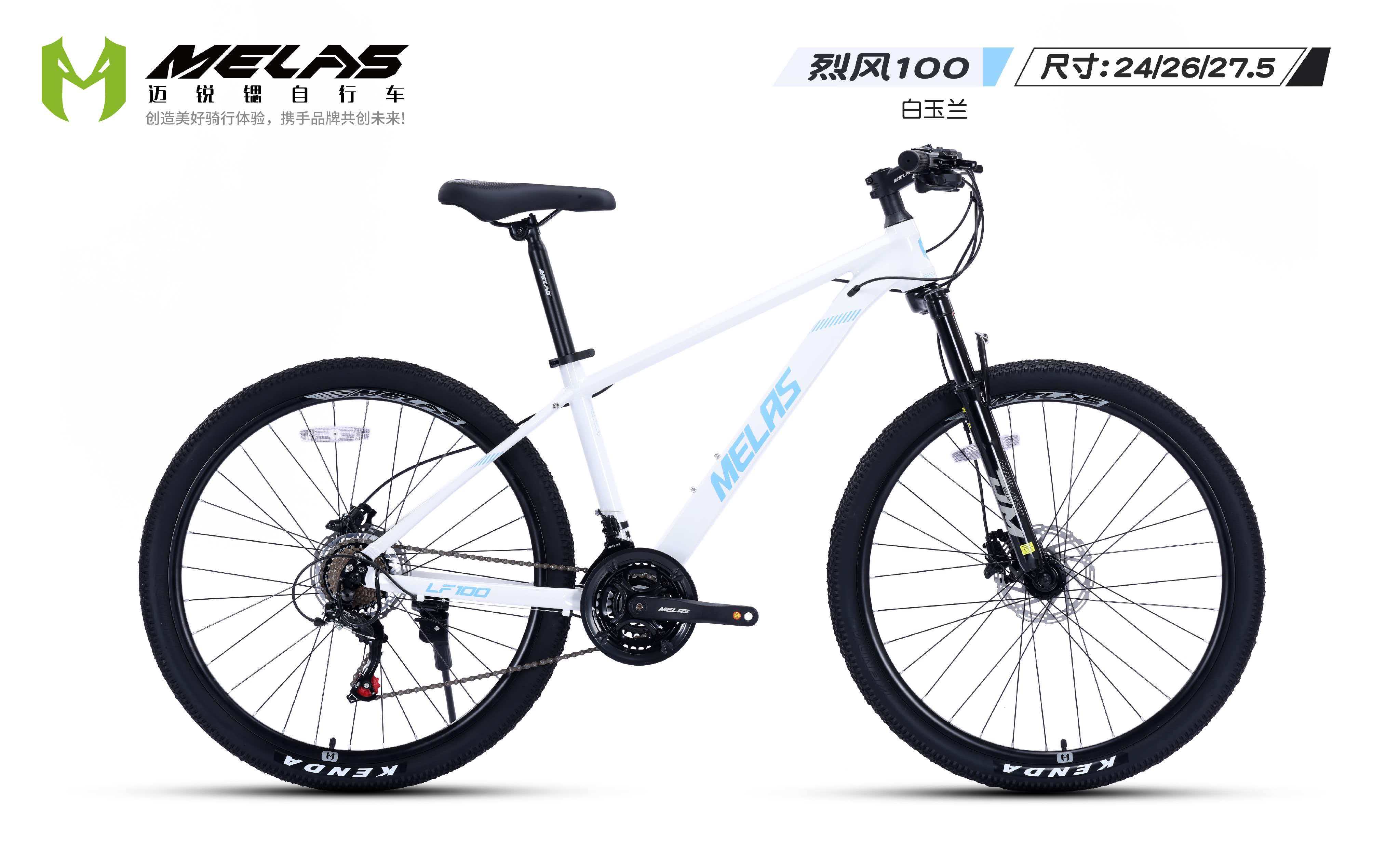 2026年初天津实用自行车生产商综合实力与选型指南(图2)