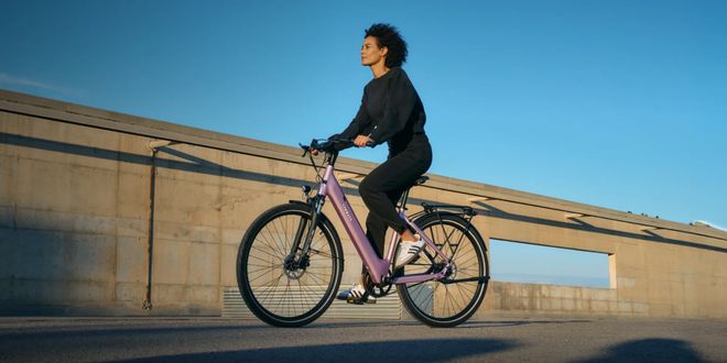 高瓴腾讯阿里押注单品爆卖5万辆的品牌冲击港股E-Bike第一股(图3) 高瓴腾讯阿里押注单品爆卖5万辆的品牌冲击港股E-Bike第一股(图3)