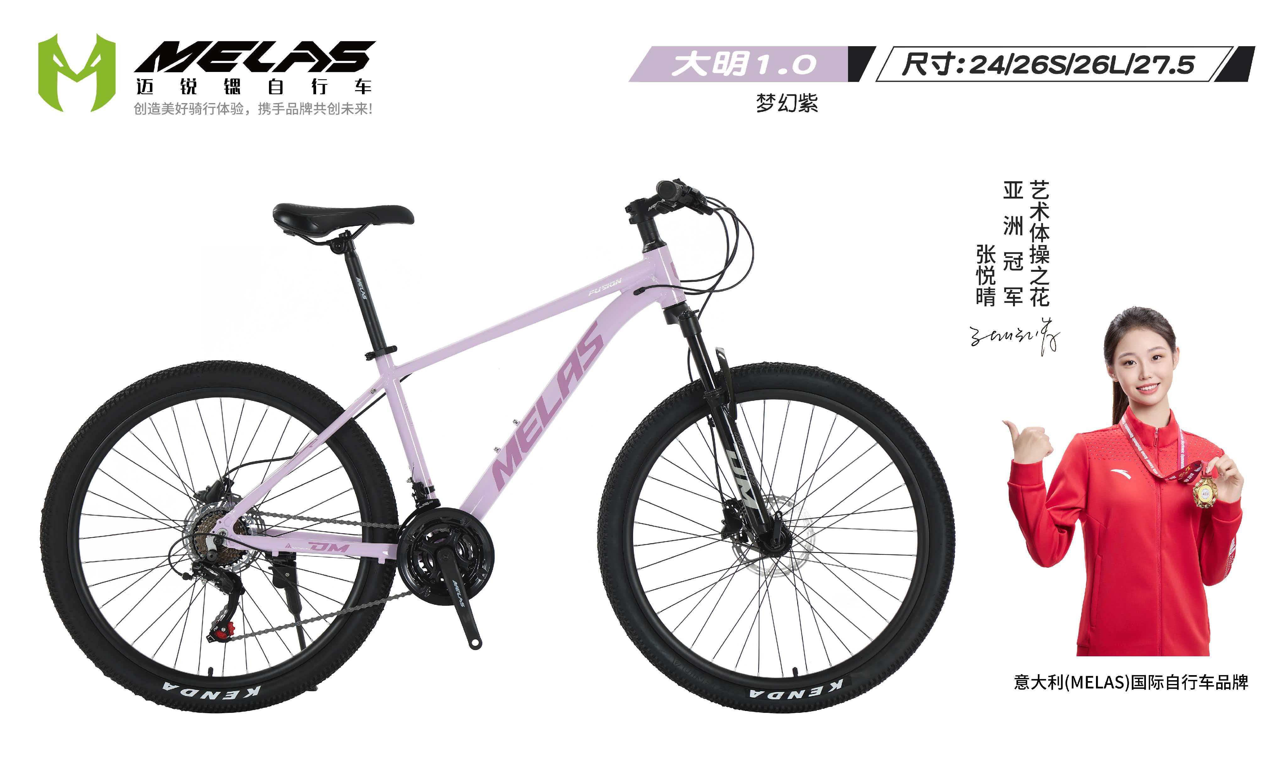 2026年高颜值自行车货源选择指南与TOP服务商解析(图2)