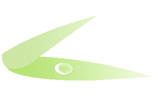 云南省委书记：欢迎大家旅居创业生活追梦(图3)