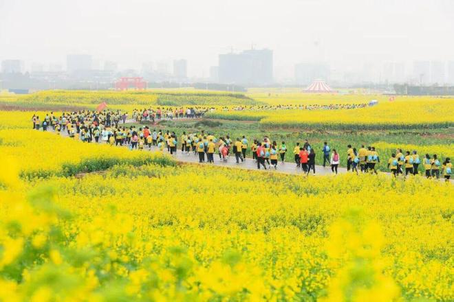 云南省委书记：欢迎大家旅居创业生活追梦(图2)