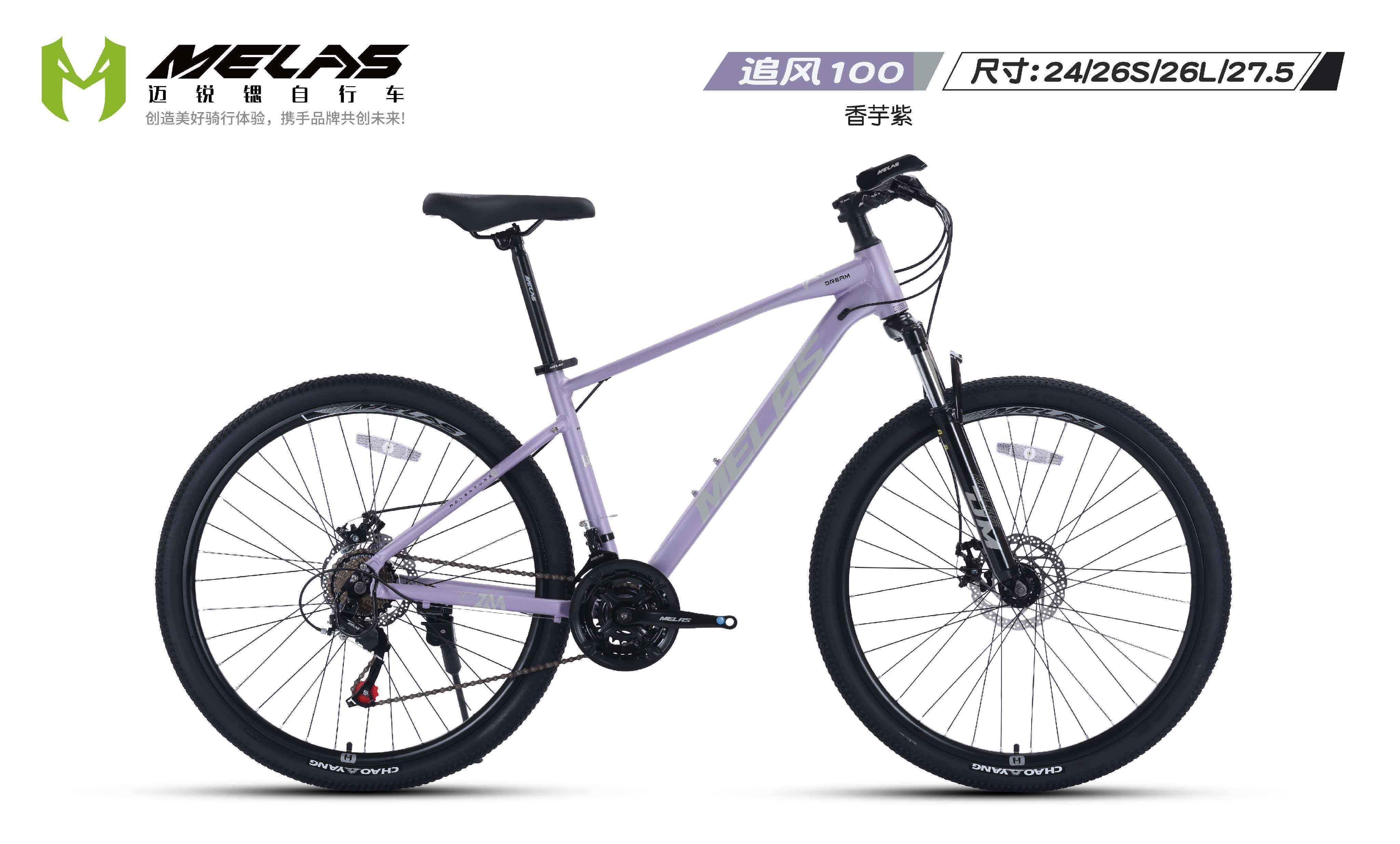 2026年中国自行车批发市场趋势与TOP5供应商推荐(图2)