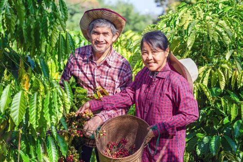 吸引Z世代:城市场景营造已进入「共情20」阶段!(图15) 吸引Z世代:城市场景营造已进入「共情20」阶段!(图15)