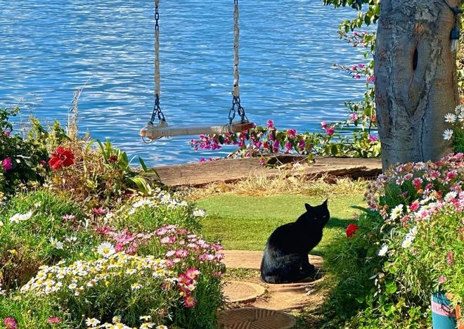 云南大理沙溪古镇4日小包团报团小众慢游洱海骑行纯玩人均价(图1)