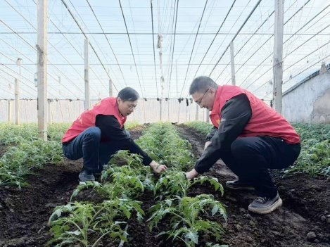 特色IP赋能文旅消费莱西激活周末经济新动能(图2)