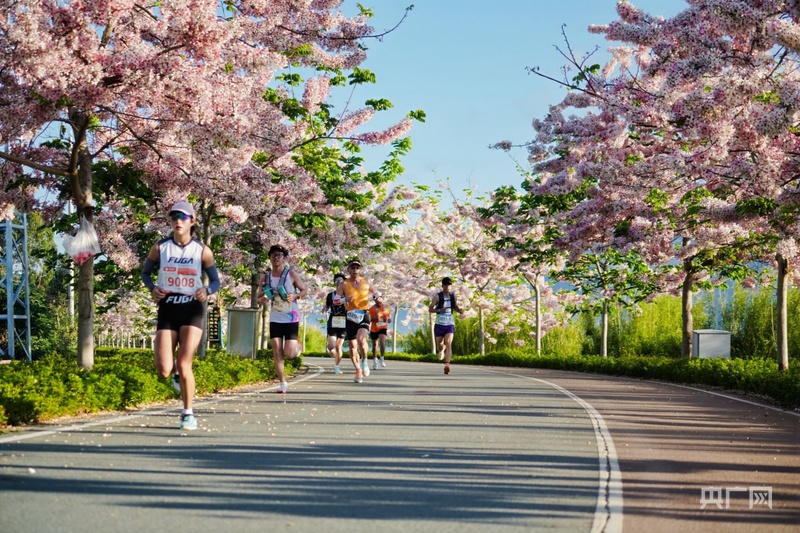 覆盖五一假期！2026云南九大高原湖泊山水联赛即将启幕(图2)
