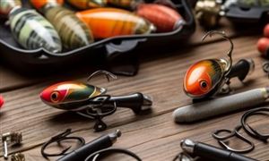 共享单车行业市场机遇深度调研分析2024(图6)