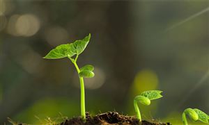 2024年中国共享自行车产业链供需布局及重点企业(图7)