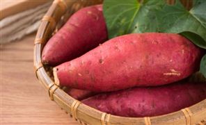 2024年中国共享自行车产业链供需布局及重点企业(图8)