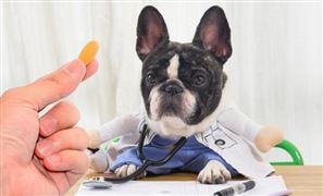 2024共享自行车产业链供需布局分析(图7)