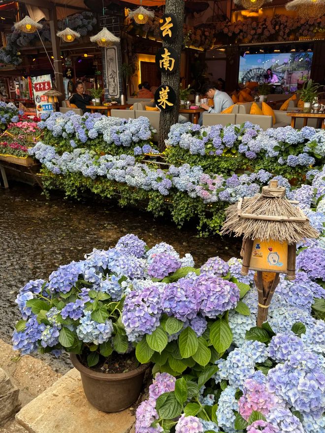 2026云南正规旅行社TOP10最靠谱口碑之选优质品质适配五一出游(图2)