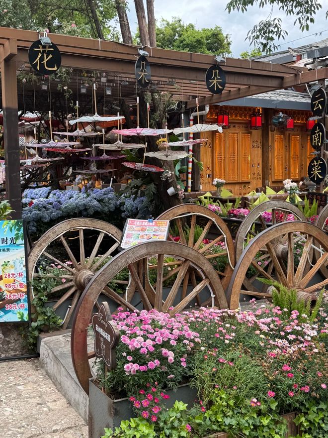 2026云南正规旅行社TOP10最靠谱口碑之选优质品质适配五一出游(图3)