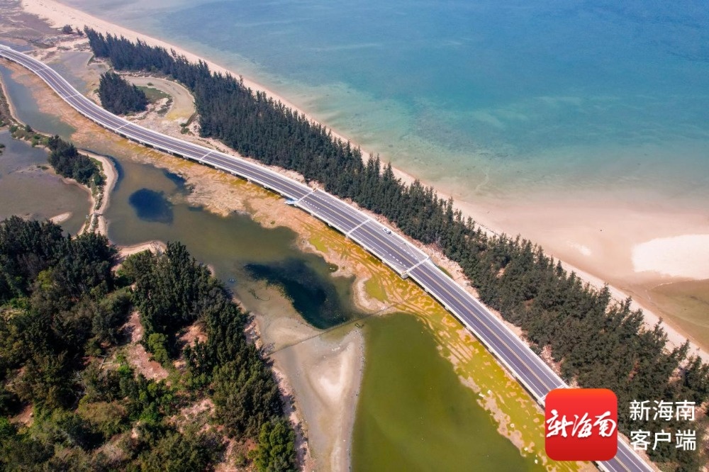 穿行海南“两环”旅游公路解锁西部文旅别样新体验(图6)