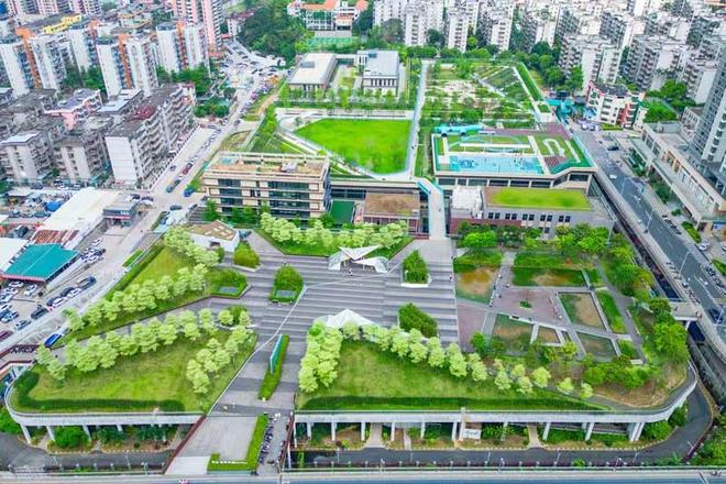 AI游园、国际大秀……五一来布吉公园趣味大变身！(图8)